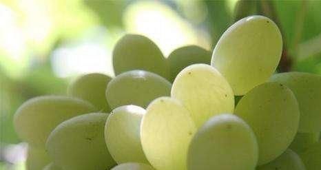 气色|女性害怕变黄脸婆，推荐常吃以下食物，淡斑养颜，气色好显年轻