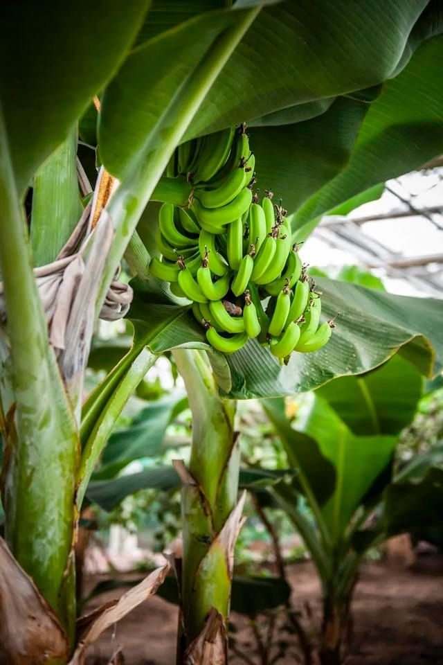 又一打卡地!快来长春农博园赏美景、购好物