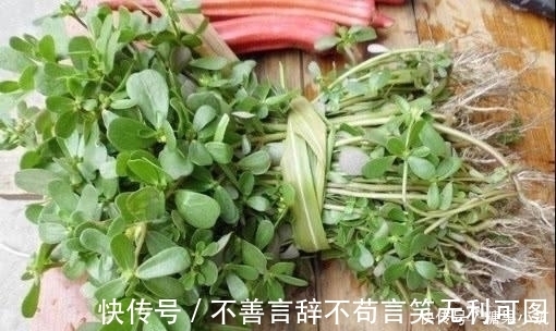 祖宗十八代|农村这种野菜,被誉为“长寿菜”,城里人想吃都买不到!