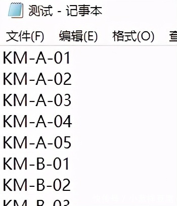 打印机|TXT数据库如何批量生成可变二维码