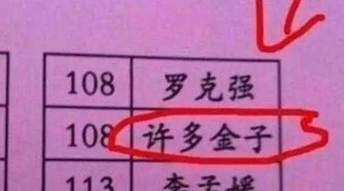 名字|夏姓爸爸给儿子起名字,没注意谐音,老师上课都不敢叫