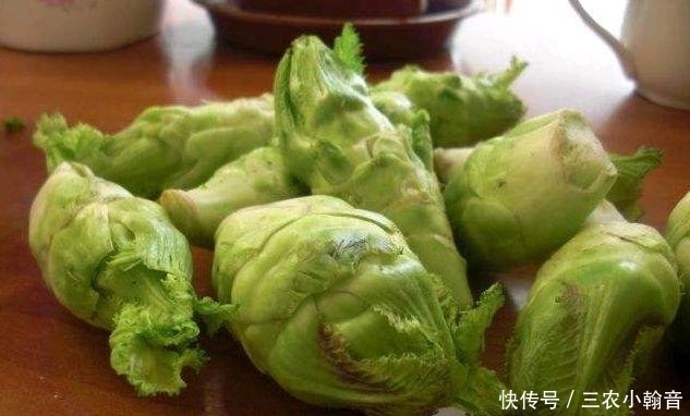 以下几种野菜,农村常见,常吃能“延年益寿”,城里人抢着吃