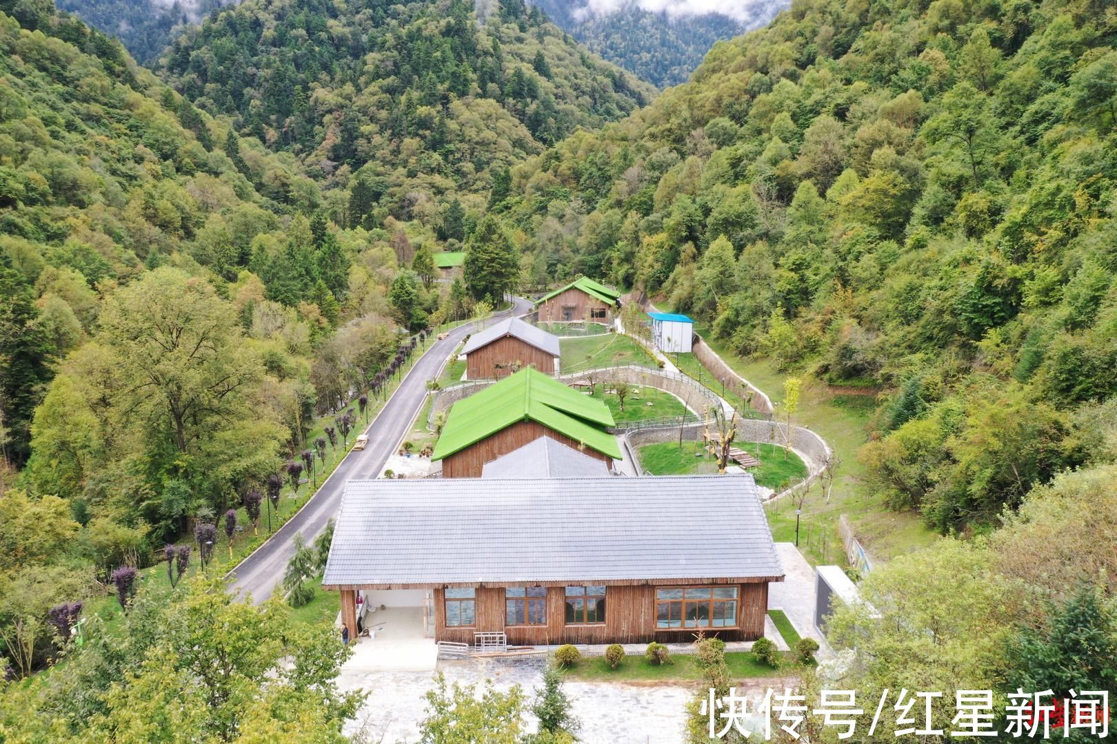 熊猫园|走进九寨新12景｜深山秘境甲勿海 大熊猫“民宿”住着4只可爱的滚滚