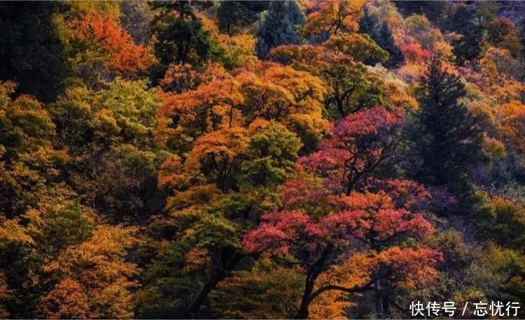 说走就走|川西行,无法复制的一场说走就走的旅行