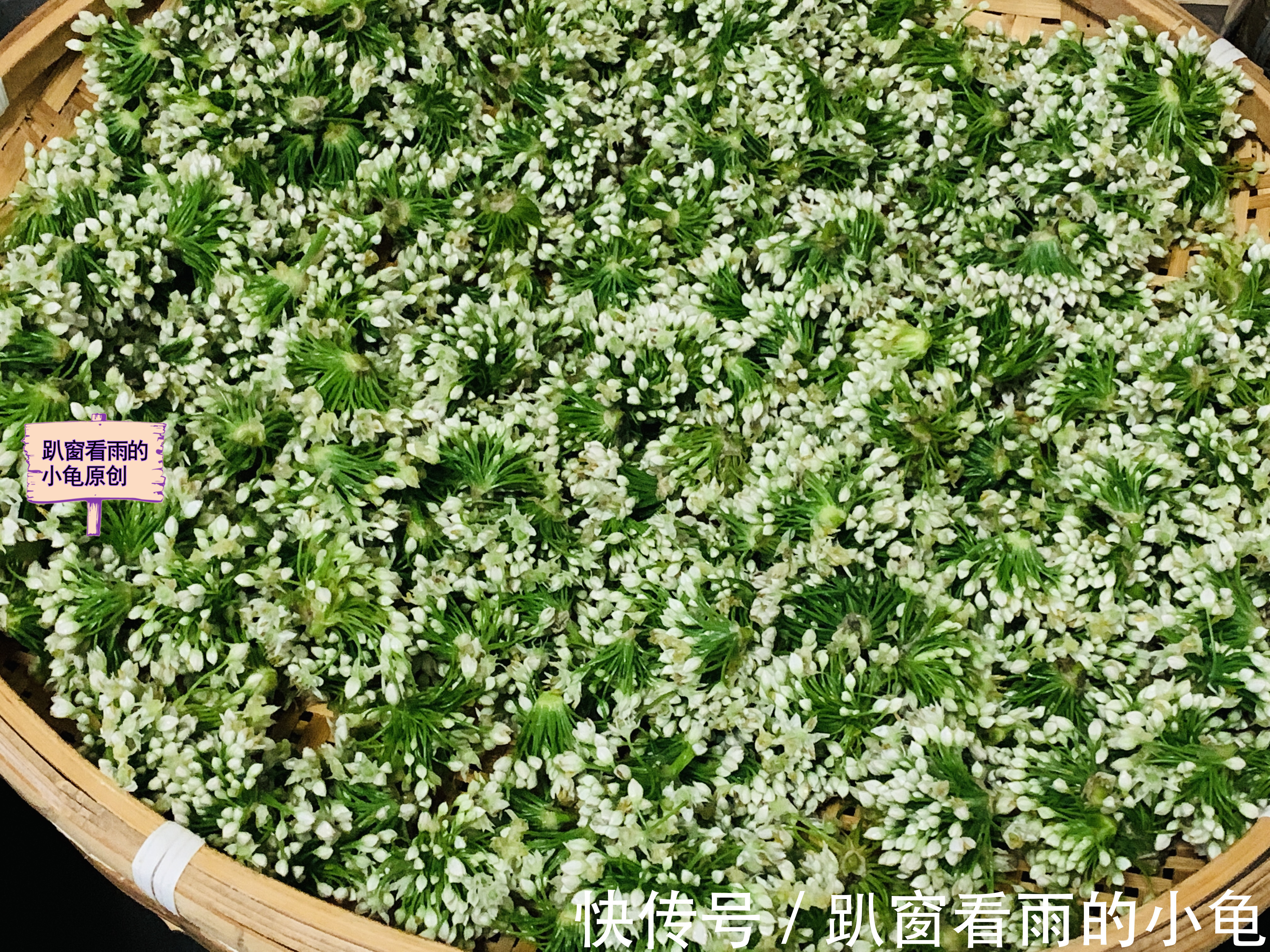 好吃|腌韭菜花,除了放盐,再加入它,韭菜花酱翠绿不变色,黏稠又好吃