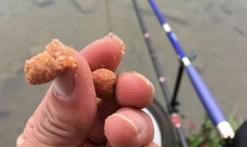 配方|钓鲫鱼从不空手的8个配方,随便挑一样都好使