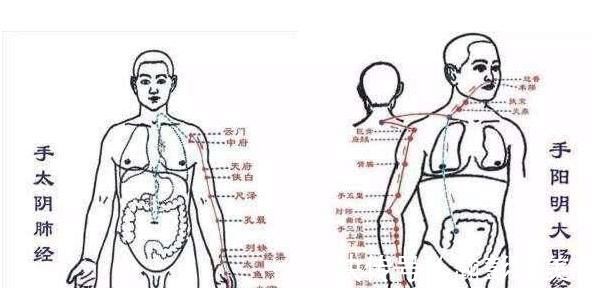 气血|能长寿的人，身体三处会“鼓”起来，看看自己有没有！