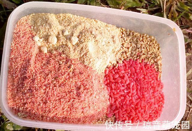饵料|别再单用打窝米了，掌握这4种用法，能让它在钓鱼当中发挥极致