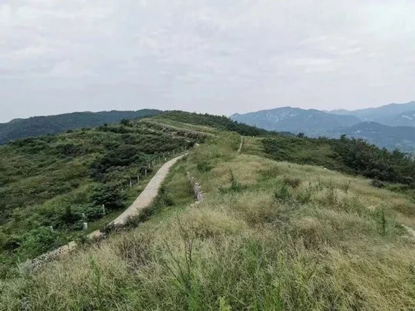 活化齐长城文旅资源的“山东样本”