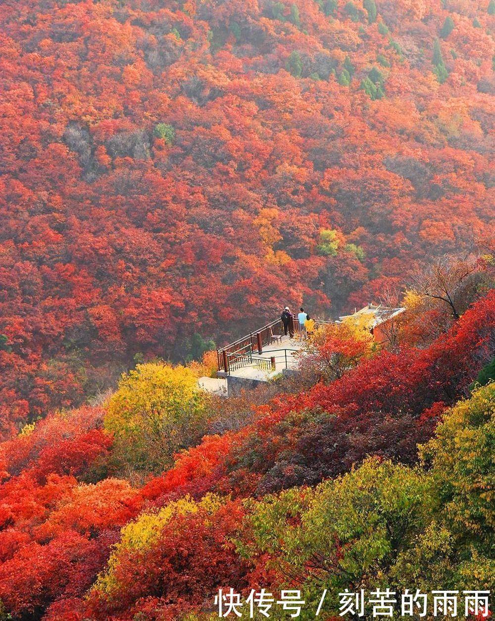 这是不是神仙居住的地方实在是太美了！