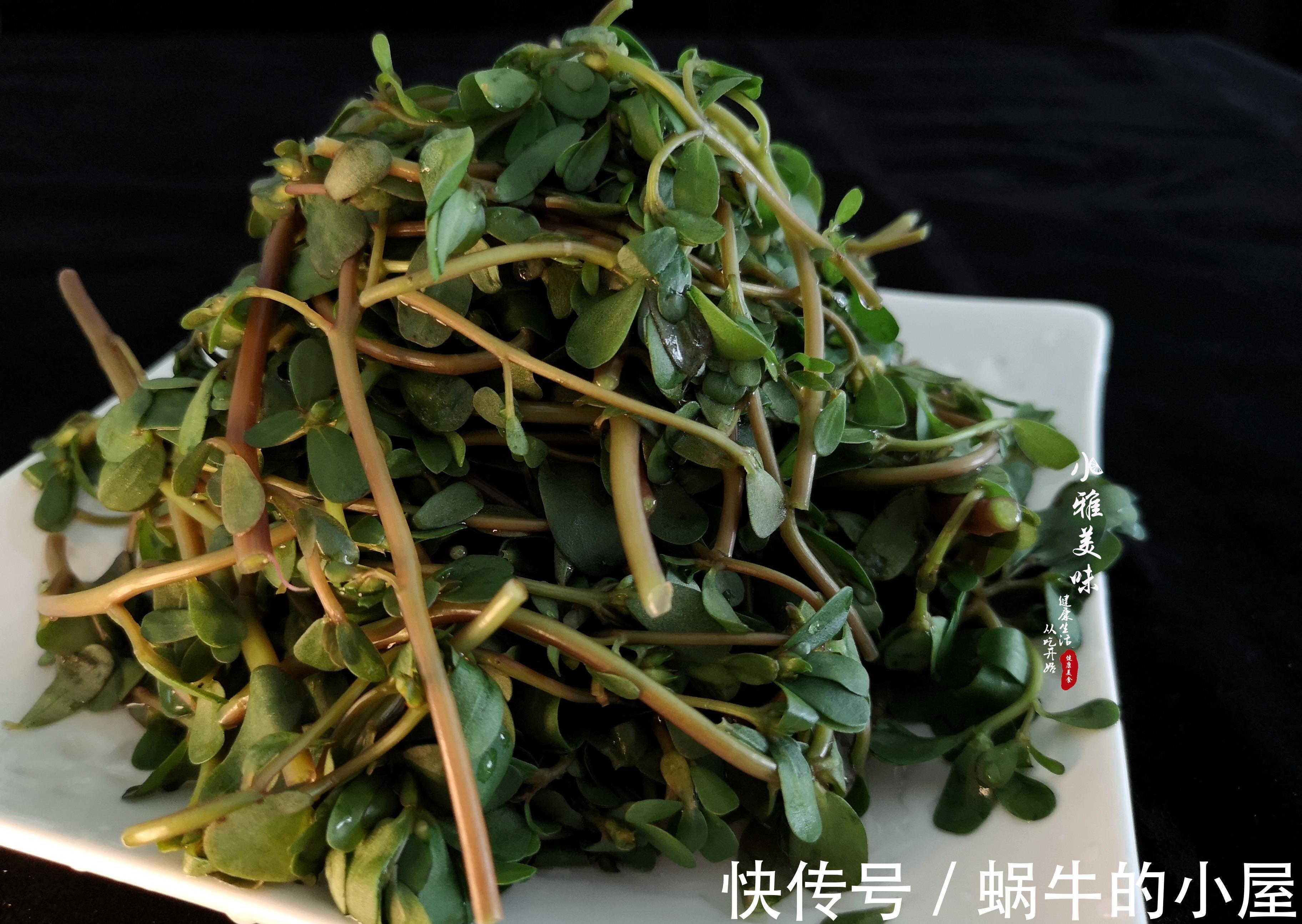 剁辣椒|在欧洲偶遇中国野菜,兴奋之余,当晚演绎了一场经典的中国凉拌菜