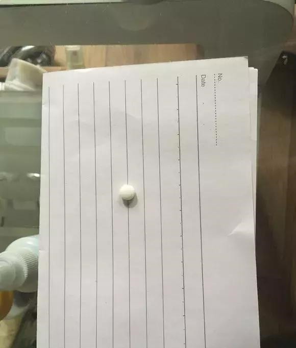 扦插不长根5种生根水里泡一泡，10天长出大白根，蹭蹭长！