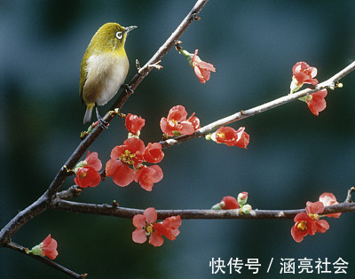 贵人星|惹不起的三大生肖，2019年人在家中坐，财从天上来，一年安逸