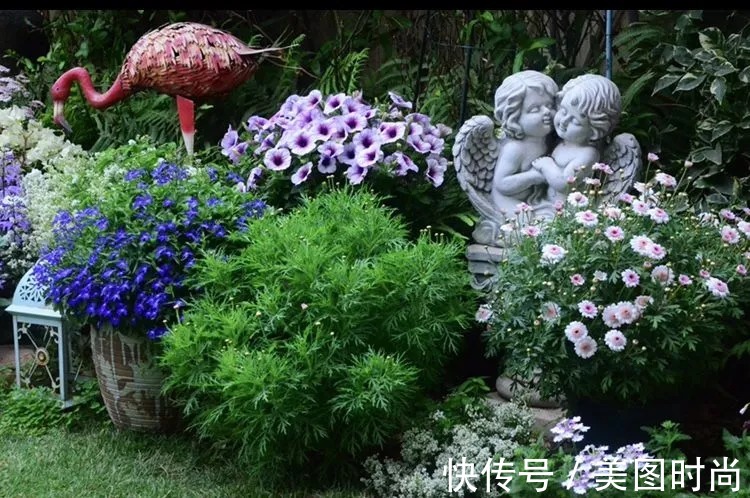 三角梅|120㎡别墅花园改造,经过三年的努力,小院从荒地到花开满园