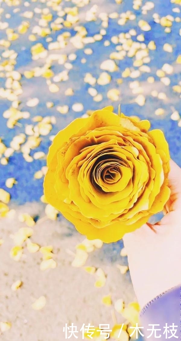 喜讯!百变落叶大赏,小川川又获奖啦!!