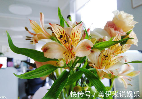 花瓣带有七彩斑纹,百合花的“亲戚”,花中的潜力股