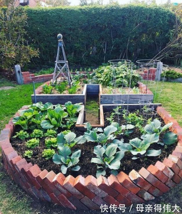 基础款|有院子就该捯饬,普通材料这么一弄有创意有美感,成本''两碗饭''