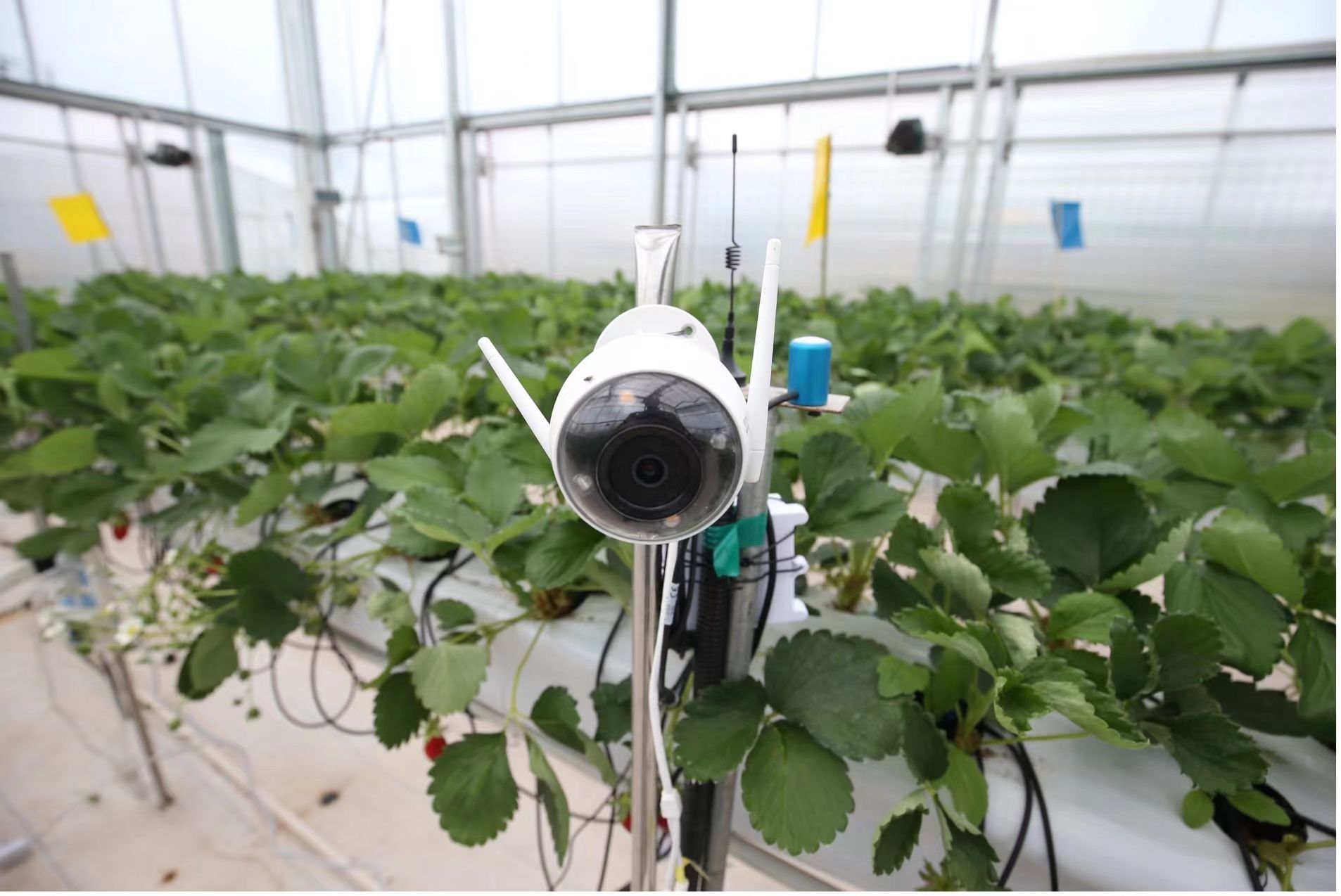 2026年北京养老一文理清！长友颐院（长友养老院活力社区）地址交通、服务项目与收费标准详解