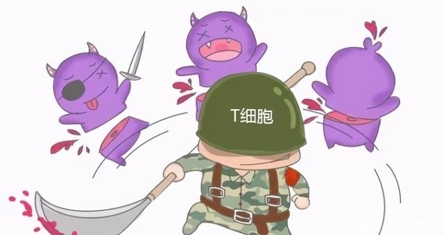 免疫力 人體健康的強健盾牌