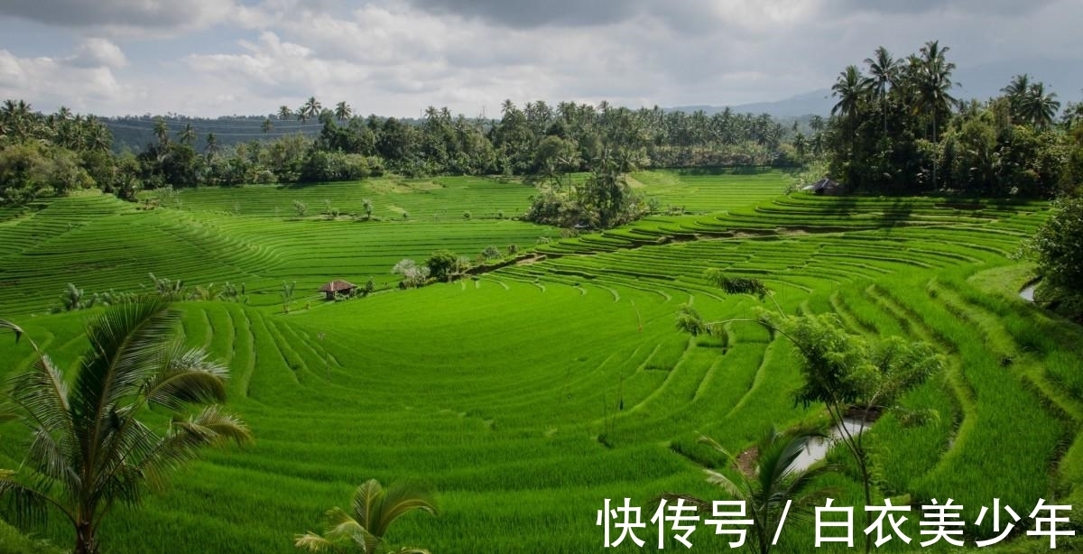 生肖狗|9月19日到10月中旬，三生肖苦尽甘来，收获颇丰，心想事成