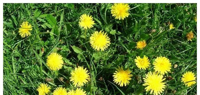 漫谈!漫谈人生(37)·“人生怎么样才能快乐?”