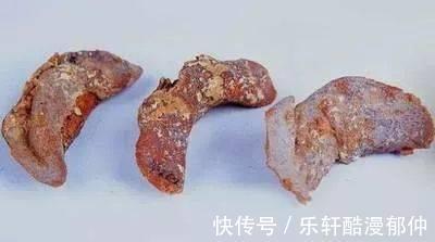 饺子馅|吃了这么久的饺子，你真的了解饺子吗