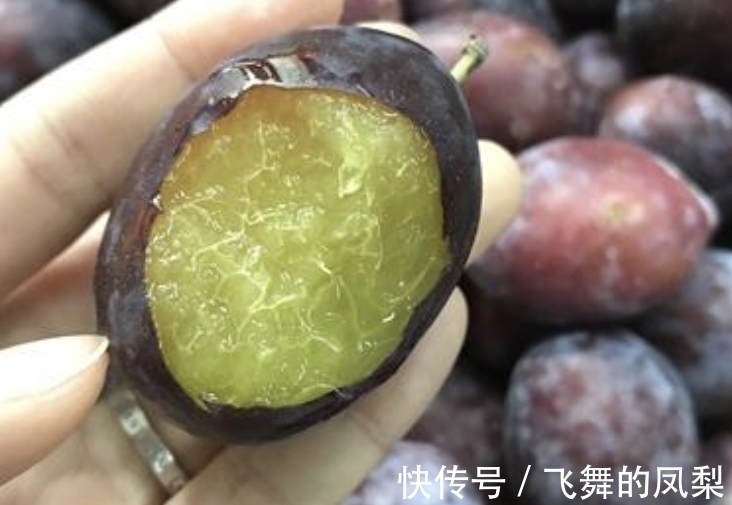 1种“无中生有”的绿植,曾引起争论,不知从什么地方来,有价值