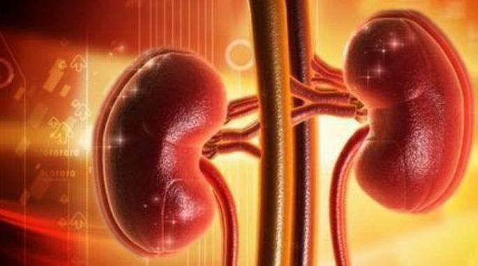 就很有可能是由于|“肾”好不好看脚,如果脚上没有3个表现,说明你的肾还很健康