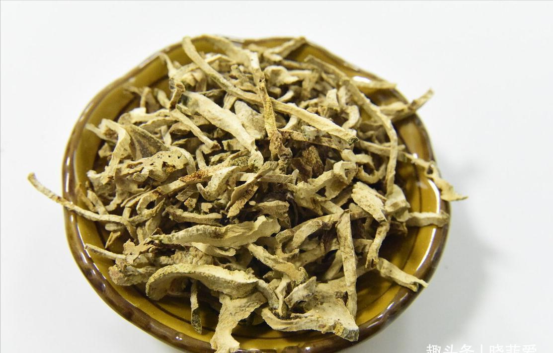 佛手|院子里适合种7种“镇宅树”,随便种一棵,“旺财添福”更旺家