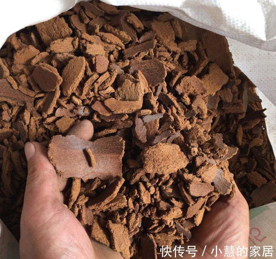 家里有这3种东西不要扔,你以为是垃圾,可它们是植物最好的肥料