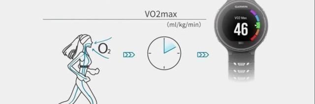 肌肉|健身停训多久后,肌肉会消失如何保留住肌肉