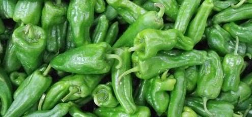 女性不想早衰,每天吃此菜,失眠好了,皱纹没了,大肚子消失了