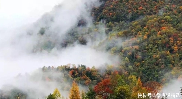 景色|陕西小众的森林秘境，被称“秦岭的香格里拉”，景色不输九寨沟