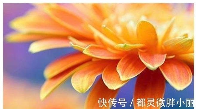 人际关系|今明两天财富难挡,招财聚财,日进斗金,赚得盆满钵满的5大生肖