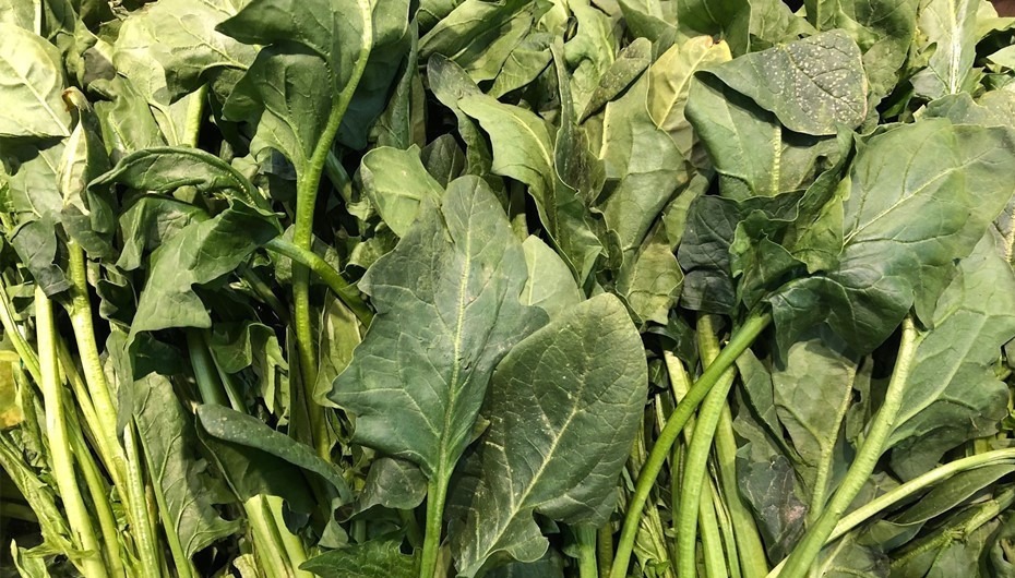 买菠菜时，要分清“尖叶”和“圆叶”，区别挺大，买错了不好吃