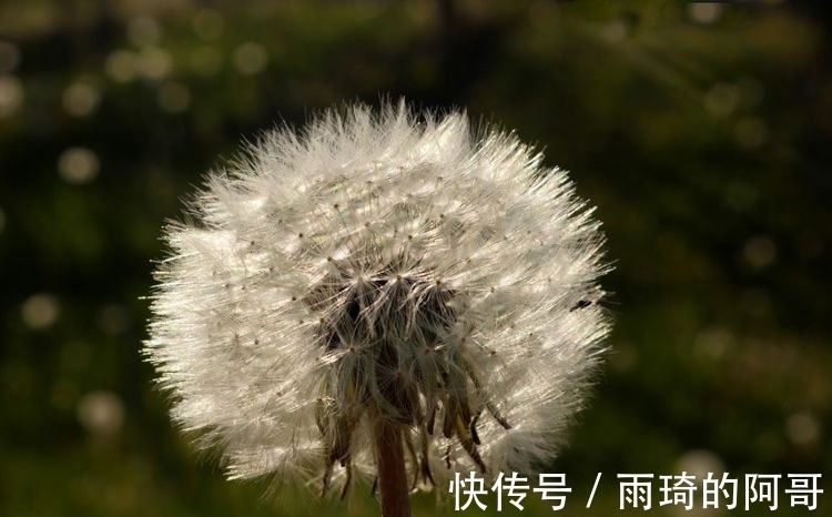 收获|预计下周内，缘分和桃花一同而来，收获永恒真爱的四大生肖！