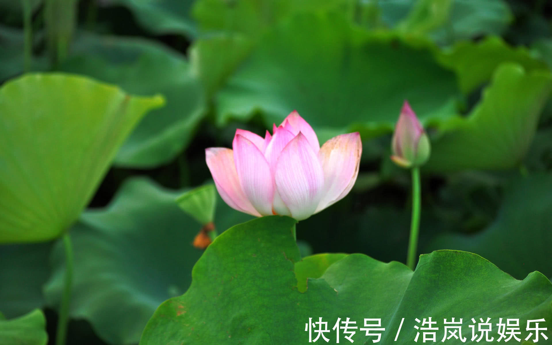 小日子|三辆房车自驾游，下着小雨包饺子，喝着小酒，这小日子太爽了