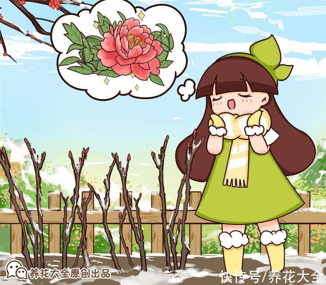 这么多花，为什么偏偏牡丹是“花中之王”？看完你也得服