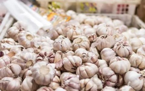 關于大蒜，你了解多少？