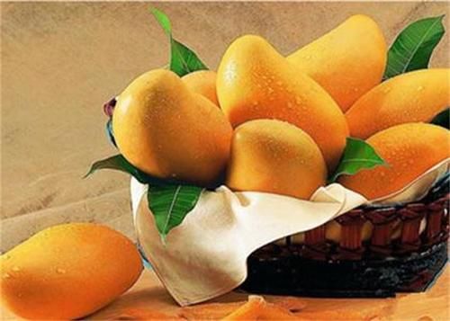 百合|秋天不妨多吃3种食物,美容养生,延缓衰老,好吃也不贵!