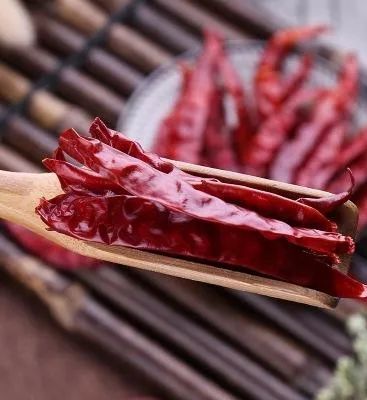  做菜，这回辣椒站C位 ，好吃到没有朋友！|重庆特产传说（320） | 香脆椒