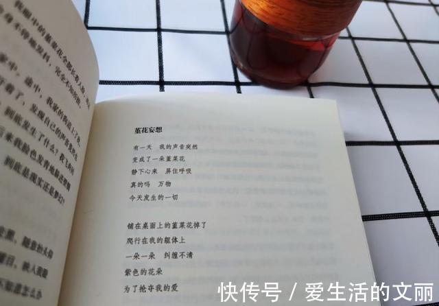 草间弥生|好书分享————无限的网