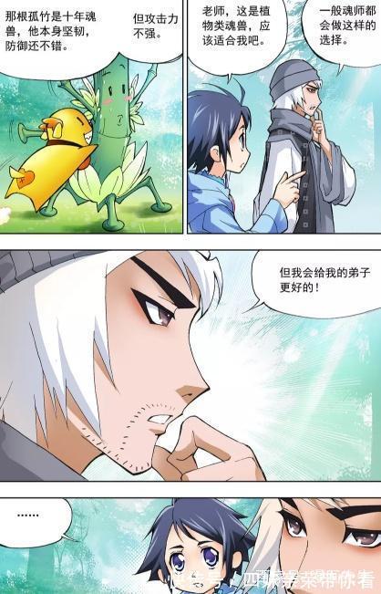 年份|斗罗大陆:大师解读魂环的重要区别!大师与众不同的武魂!