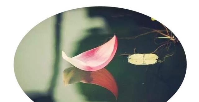 吃亏是福#历史上10大歪理,虽然不够高大上,却歪得很有道理