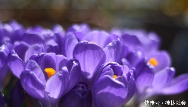 遇到小人不要怕,就学会这4招,再狡猾小人也不怕,让他服服帖帖