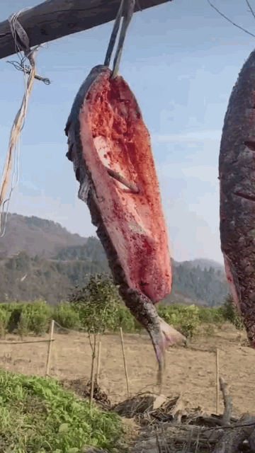 |搞笑GIF:这可能不是最吓人的 但绝对是挨揍最多的