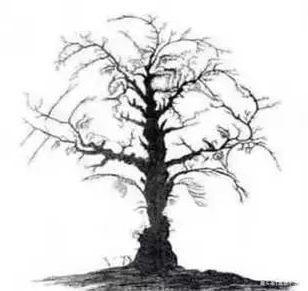 阿尔茨海默氏|老年痴呆测试6道问题若能全对,恭喜你离痴呆还很远,敢试试