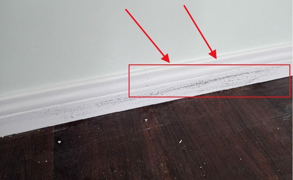 家装|真金白银花了20万!才醒悟43个家装真相,装修新人千万要收藏