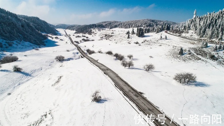 仙女山国家森林公园|2021年已过300天，你错过了多少武隆美景…