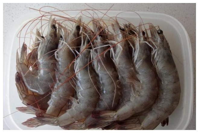 鲜虾保存，直接放冰箱就错了，老渔民教你一招，天天吃新鲜的大虾